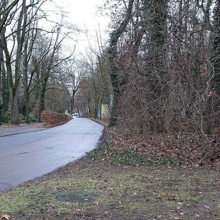 Birkenstraße Dezember 2020 Bild: C. Hoffmann